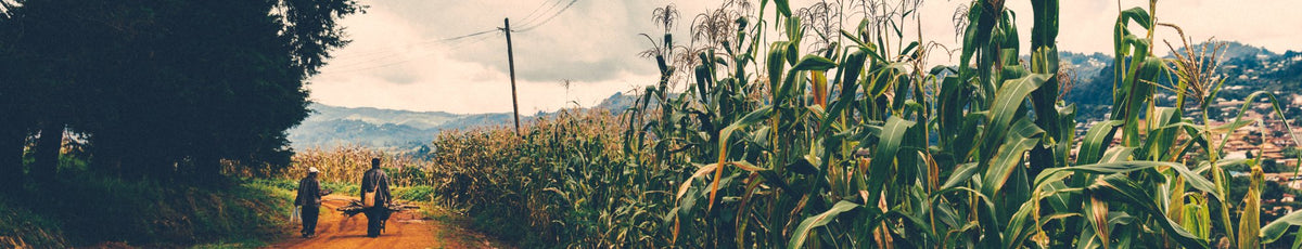 Sustainability Update - March 2019