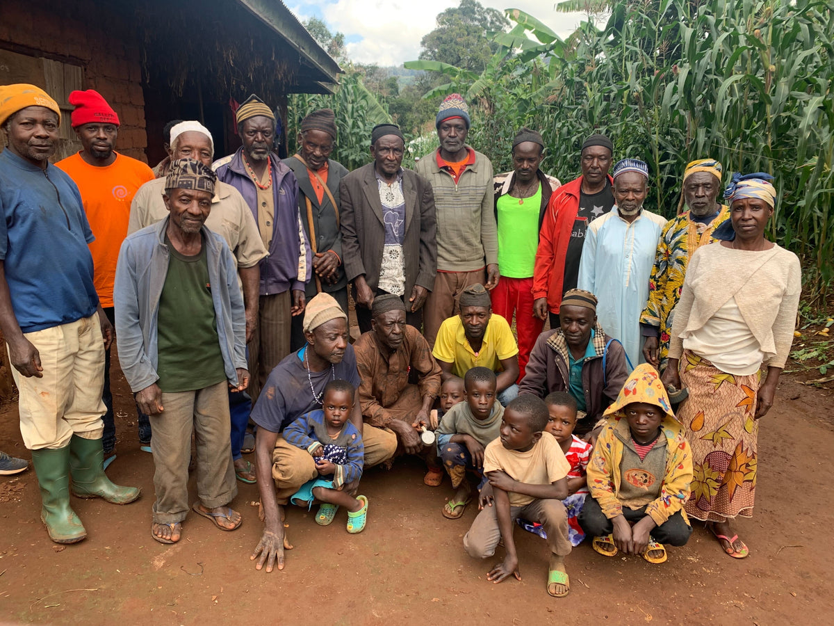 Our Cameroon Team Plants Another 100,000 Trees