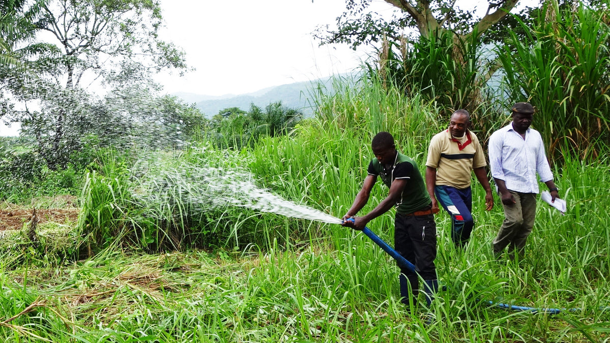 Moka Blog: World Water Day 2022